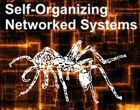 Self-Organized Networked Systems